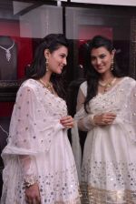Sayali Bhagat unviels Temple Jewelry Collection by Popley & Sons in Mumbai on 9th April 2013 (54).JPG